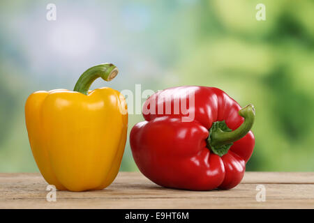 Frische Paprika oder Paprika Gemüse im Sommer mit Exemplar Stockfoto