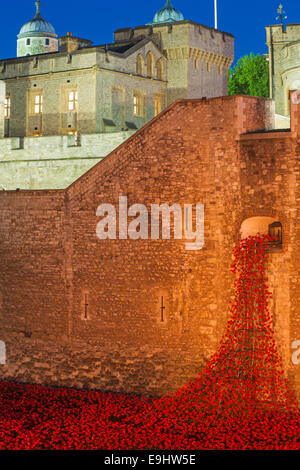 Keramikmohn aus Blut Swept Lands and Seas of Red im Tower of London, Großbritannien, anlässlich des hundertjährigen Bestehens des Ersten Weltkriegs Stockfoto