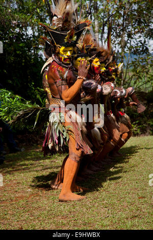 Huli Wigmen Tanz und Trommel in ihre Bird Of Paradise Feder Kopfschmuck Stockfoto