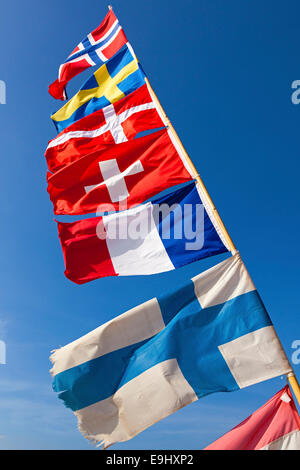 Internationale Fahnen im wind Stockfoto