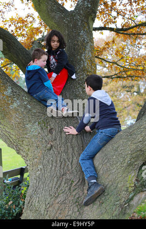 Jungen Bäume klettern Stockfoto