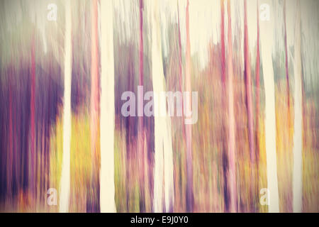 Abstrakte Bewegung verwischt Bäume in einem Wald. Stockfoto