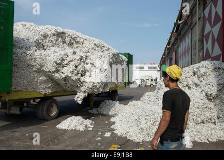 Türkei, Adana, Pakmil Baumwollkultur Fabrik, Verarbeitung der geernteten konventionelle Baumwolle, Trennung Fasern und Samen maschinell Stockfoto