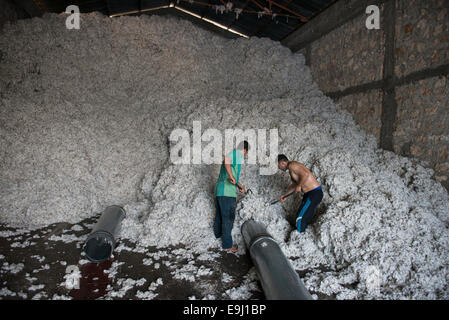 Türkei, Adana, Pakmil Baumwollkultur Fabrik, Verarbeitung der geernteten konventionelle Baumwolle, Trennung Fasern und Samen maschinell Stockfoto