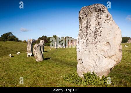 Großbritannien, England, Wiltshire, Avebury, Steinkreis, Schafe weiden unter den wichtigsten Henge Monolithen Stockfoto