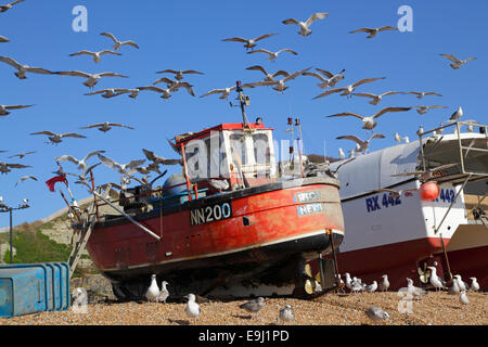 Eine Schar Möwen schweben über dem Fischerboot von Hastings und landeten gerade mit frischem Fang am Old Town Stade Beach East Sussex England UK Stockfoto