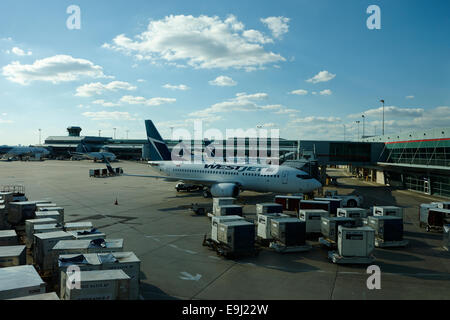 WestJet Flugzeuge an terminal 3 Toronto Pearson internationaler Flughafen Kanada Stockfoto