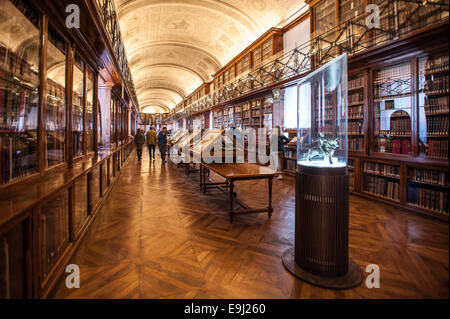 Turin, Italien. 28. Oktober 2014. Königliche Bibliothek von Turin. Präsentation der Ausstellung "Leonardo und die Schätze des Königs," die Ausstellung, die zu den öffentlichen 30. Oktober 2014 eröffnet. Bildnachweis: Wirklich einfach Star/Alamy Live-Nachrichten Stockfoto