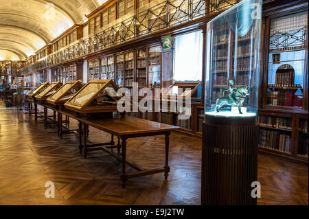 Turin, Italien. 28. Oktober 2014. Königliche Bibliothek von Turin. Präsentation der Ausstellung "Leonardo und die Schätze des Königs," die Ausstellung, die zu den öffentlichen 30. Oktober 2014 eröffnet. Bildnachweis: Wirklich einfach Star/Alamy Live-Nachrichten Stockfoto