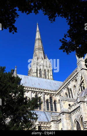 Außenseite der Salisbury Kathedrale aus dem 13. Jahrhundert, Stadt Salisbury, Grafschaft Wiltshire, England, UK Stockfoto