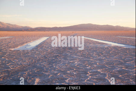 Von alinas Grandes" (Salz) in der Abenddämmerung (3450 m Höhe). Puna de Atacama, Salta y Jujuy, Argentinien. Stockfoto