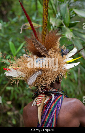 Ein Huli Wigmen von Papua-Neu-Guinea mit seinem Kopfschmuck aus Haaren und Federn Stockfoto