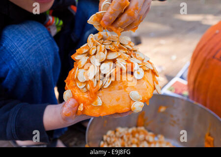 Kind entfernen Samen von Kürbis - USA Stockfoto