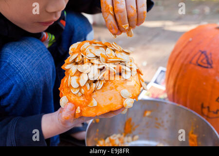 Kind entfernen Samen von Kürbis - USA Stockfoto