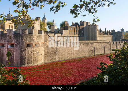 London, UK. 28. Oktober 2014. WW1-Installation "Blut Mehrfrequenzdarstellung Länder und Meere of Red" in den Graben des Tower of London. Bildnachweis: Martyn Goddard/Alamy Live-Nachrichten Stockfoto