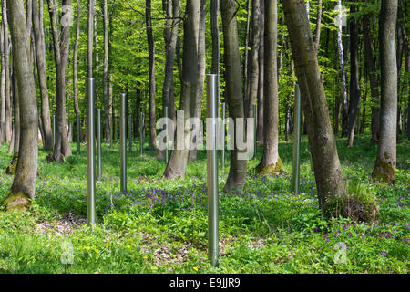 Gedenkstätte Buchenwald, Edelstahl Stelen in den Wäldern, symbolische Grabsteine für die Toten des sowjetischen Speziallagers nummeriert Stockfoto