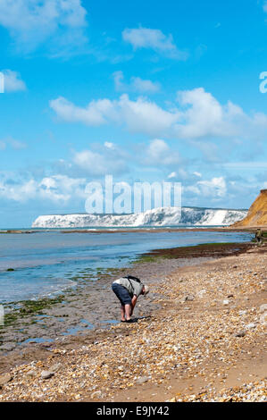 Fossilen Jäger am Strand von Brook Bay, Isle Of Wight. Stockfoto