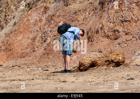 Fossilen Jäger am Strand von Brook Bay, Isle Of Wight. Stockfoto