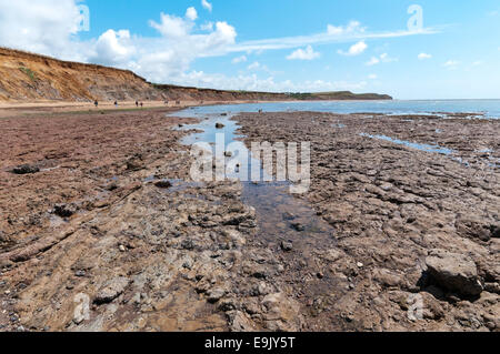 Eine Welle-Schnitt-Plattform bei Brook Bucht an der Südküste der Insel von Wight. Stockfoto