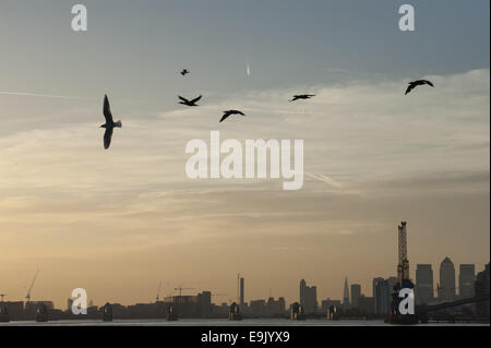 London, London, UK. 28. Oktober 2014. Sonnenuntergang in der Nähe die Woolwich-Fähre in Ost-London. Sonnenuntergang mit Blick auf die Thames Barrier und Canary Wharf in der Ferne. © Lee Thomas/ZUMA Draht/Alamy Live-Nachrichten Stockfoto