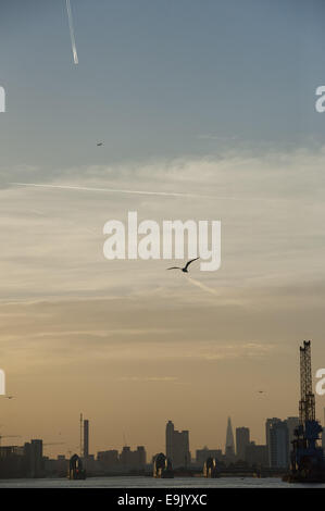 London, London, UK. 28. Oktober 2014. Sonnenuntergang in der Nähe die Woolwich-Fähre in Ost-London. Sonnenuntergang mit Blick auf die Thames Barrier und Canary Wharf in der Ferne. © Lee Thomas/ZUMA Draht/Alamy Live-Nachrichten Stockfoto