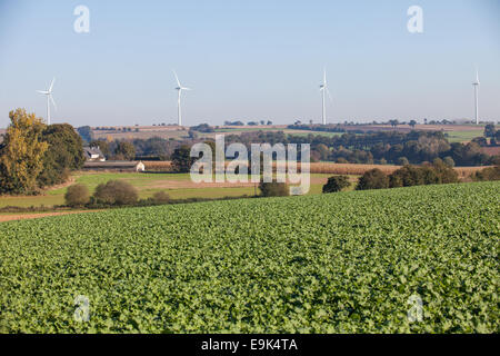 Grüne Energie in der Bretagne Stockfoto