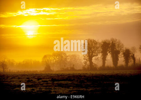 Derrylin County Fermanagh, Nordirland. 29. Oktober 2014. Ein nebliger Start in den Tag. Bildnachweis: Richard Wayman/Alamy Live-Nachrichten Stockfoto