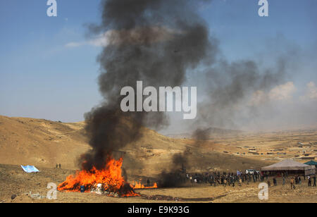 Kabul, Afghanistan. 29. Oktober 2014. Rauch steigt aus der Verbrennung von Drogen in Kabul, Afghanistan, am 29. Oktober 2014. Die Regierung von Afghanistan am Feuer 20 Tonnen von Betäubungsmitteln am Stadtrand von Kabul am Mittwoch. Bildnachweis: Ahmad Massoud/Xinhua/Alamy Live-Nachrichten Stockfoto