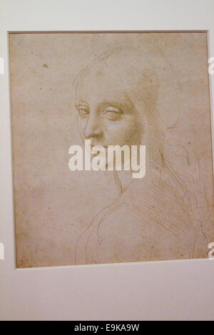 Turin, Italien. 28. Oktober 2014. Kopf einer Frau von Leonardo da Vinci. Eine Ausstellung von Leonardo und andere Zeichnungen des Künstlers eröffnet in den Gewölben der königlichen Bibliothek von Turin, Italien. Stockfoto