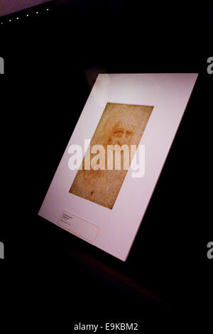 Turin, Italien. 28th. Oktober 2014. Leonardo da Vinci Selbstporträt (Porträt eines Mannes in roter Kreide). In den Gewölben der Königlichen Bibliothek von Turin, Italien, wird eine Ausstellung von Leonardo und anderen Künstlerzeichnungen eröffnet. Stockfoto