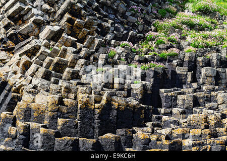 Säulenförmigen Basaltformationen auf der Insel Staffa in der inneren Hebrdes, Schottland Stockfoto