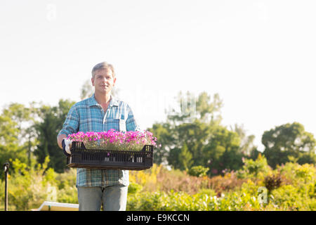 Porträt des Gärtners Transport Kiste mit Blumentöpfe im Garten Stockfoto