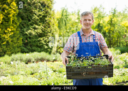 Porträt von zuversichtlich Mann hält Kiste von Topfpflanzen im Garten Stockfoto