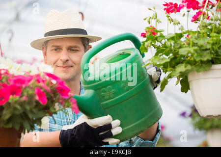 Mann mittleren Alters, die Bewässerung von Blumen Pflanzen im Gewächshaus Stockfoto