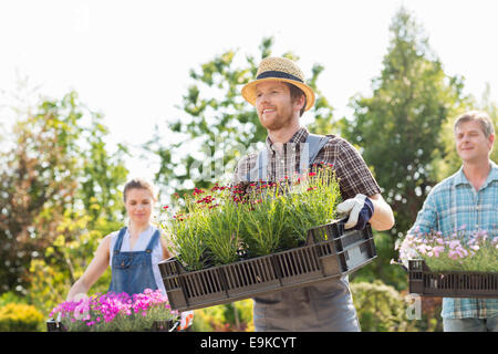 Gärtner mit Blumentöpfe in Kisten im Garten Stockfoto