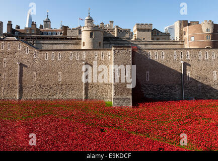 Tower von London Mohn Anzeige als Gedenkstätte für die Toten des Zweiten Weltkriegs 1 (WWI), London, England, Großbritannien Stockfoto