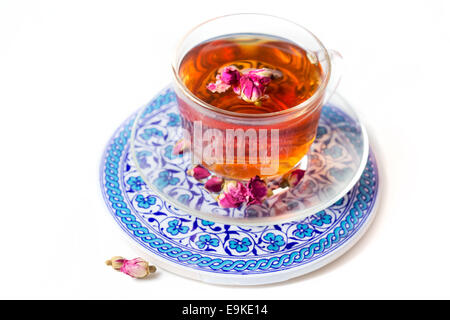 Rosen-Tee mit Rosenknospen auf weißen baackground Stockfoto