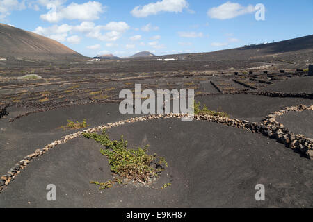 La Geria, Guigan, Weingüter in Lanzarote. Stockfoto