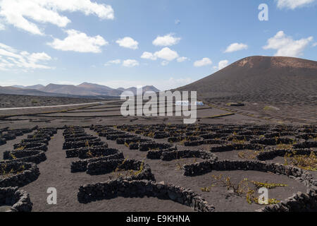 La Geria, Guigan, Weingüter in Lanzarote. Stockfoto