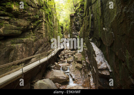 Die Flume Gorge Franconia Notch State Park White Mountains New Hampshire USA Stockfoto