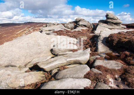 Gritstone Felsen an einem hellen Ende Wintertag am Derwent Rand im Peak District. Stockfoto