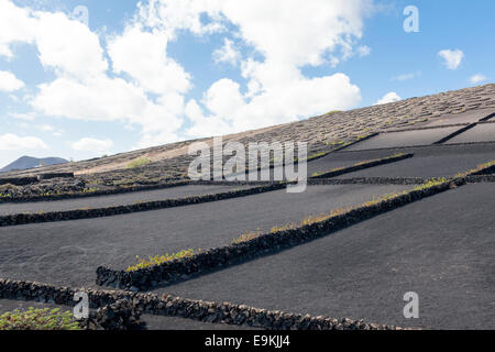 La Geria, Guigan, Weingüter in Lanzarote. Stockfoto