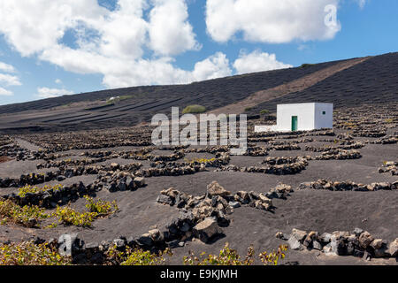 La Geria, Guigan, Weingüter in Lanzarote. Stockfoto