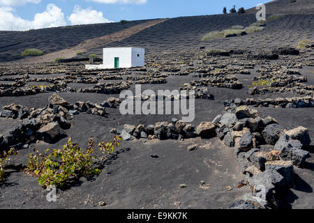 La Geria, Guigan, Weingüter in Lanzarote. Stockfoto