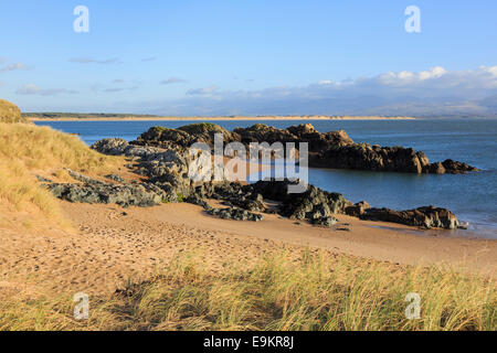 Kleine Sandbucht auf Ynys Llanddwyn Island National Nature Reserve, Newborough, Isle of Anglesey, North Wales, UK, Großbritannien Stockfoto