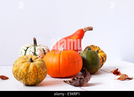 Still-Leben essen Bild des Bio-Kürbisse Stockfoto