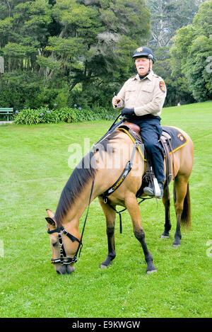 Ein Polizist in Uniform sitzt auf einem Kastanienpferd, das in einem grünen Park weidet. Porträt der professionellen Strafverfolgungsbehörden mit Reitausrüstung. Stockfoto