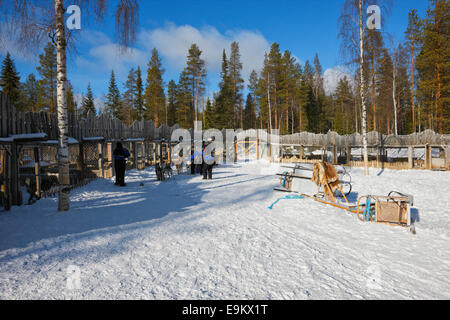 Huski Bauernhof - Kopara, Lappland Finnland Stockfoto