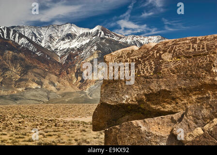 Red Canyon Petroglyphen, weiße Mtns in Dist, Fish Slough Road in der Nähe von Bischof, Owens Valley, Mojave-Wüste, Kalifornien, USA Stockfoto