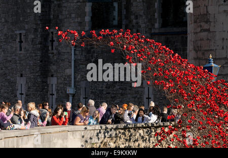 Turm von London Mohn als Mahnmal für die gefallenen im ersten Weltkrieg (WW1), London England UK Soldaten Stockfoto